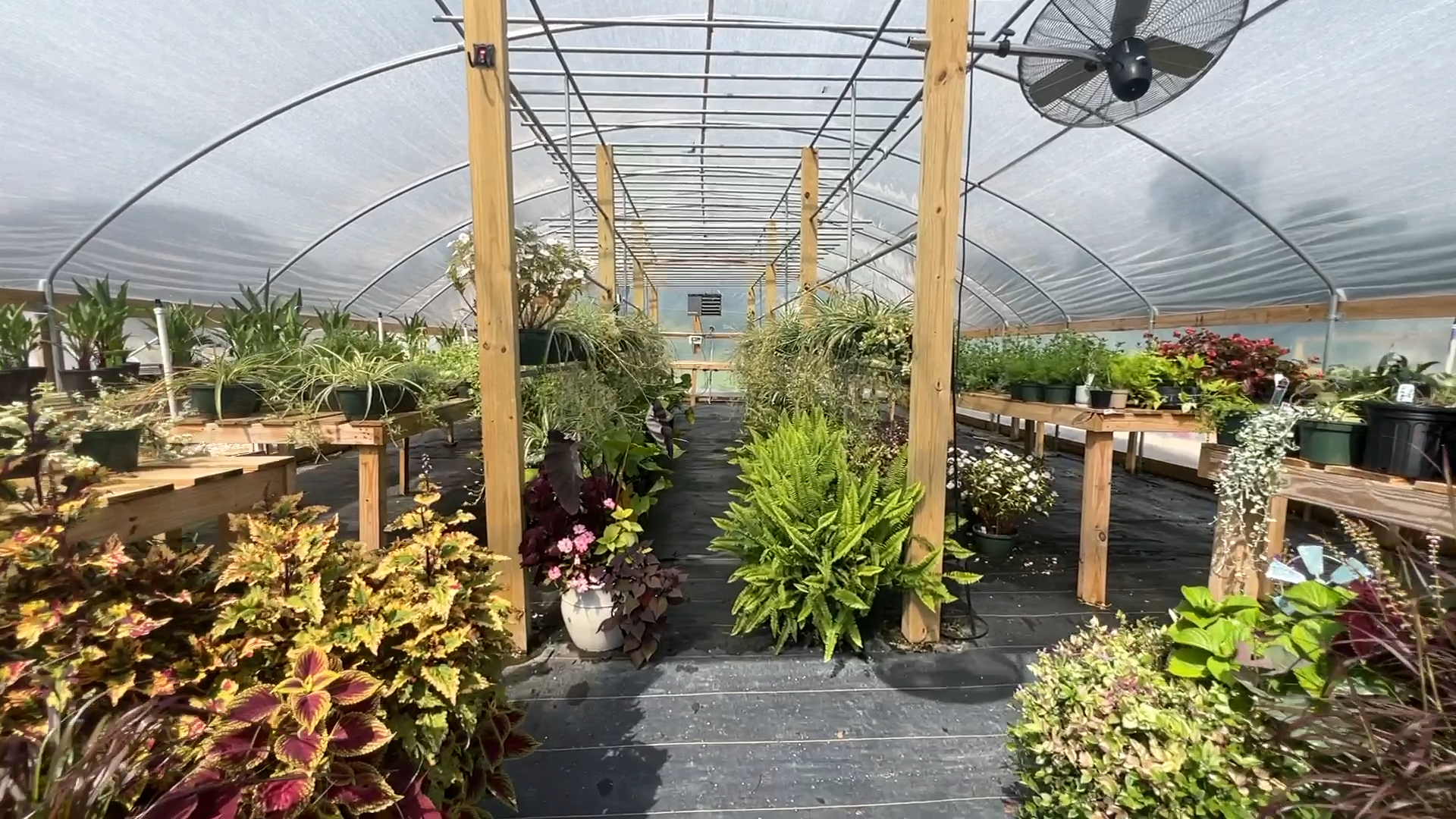 Greenhouse, Garden, and Landscaping Supplies – Knoxville Seed and Greenhouse  in Knoxville, TN